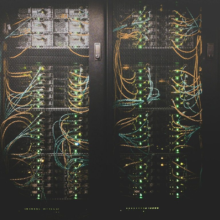 Enterprise server rack with structured cabling in a data centre